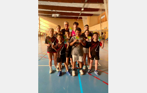 6671ace9475a6_plumesjaune.jpg
